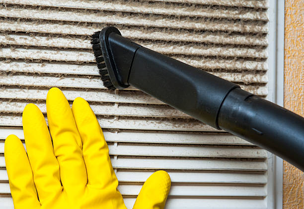 Best Affordable Air Duct Cleaning  in Twin Lake, MI